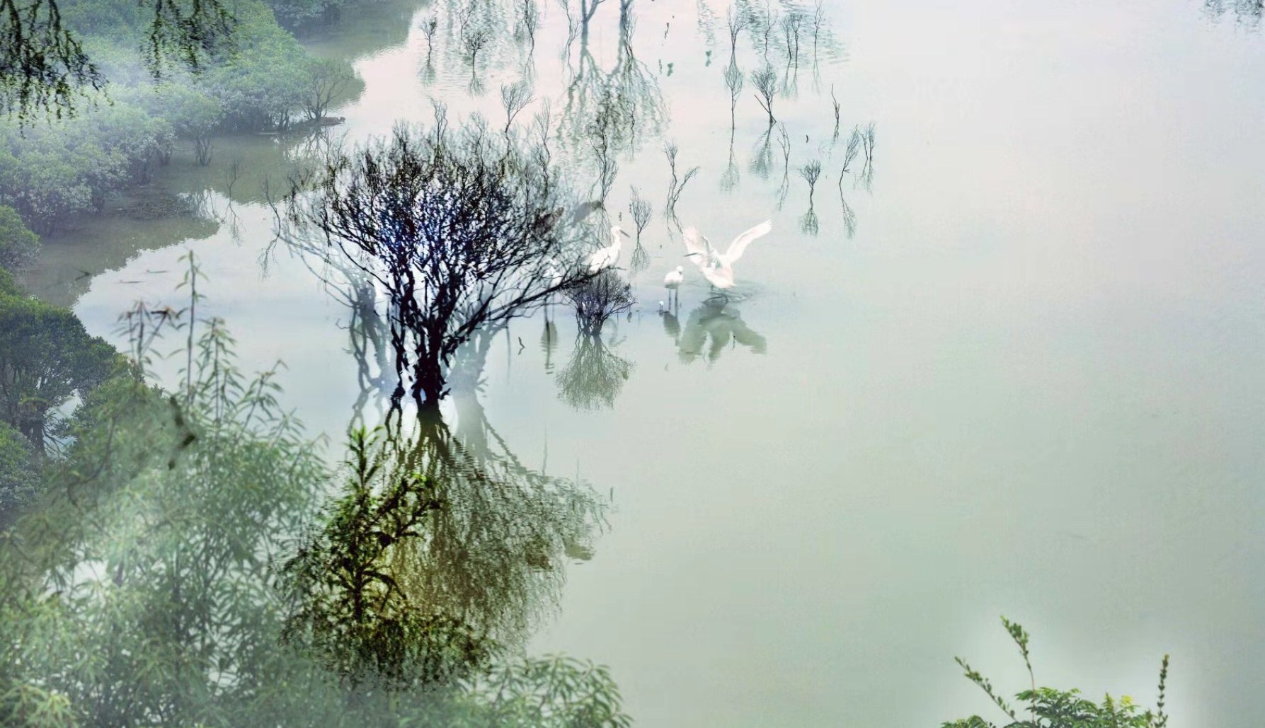 1f118c0b428986f57fafeae9f32ec2e2 (1).jpg