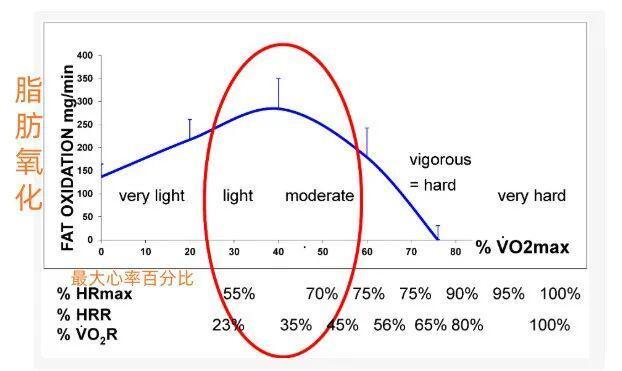 �����Ч�˶��������˶����ۻ�ȼ֬ǿ�ķΣ���֪���Ϳ�����