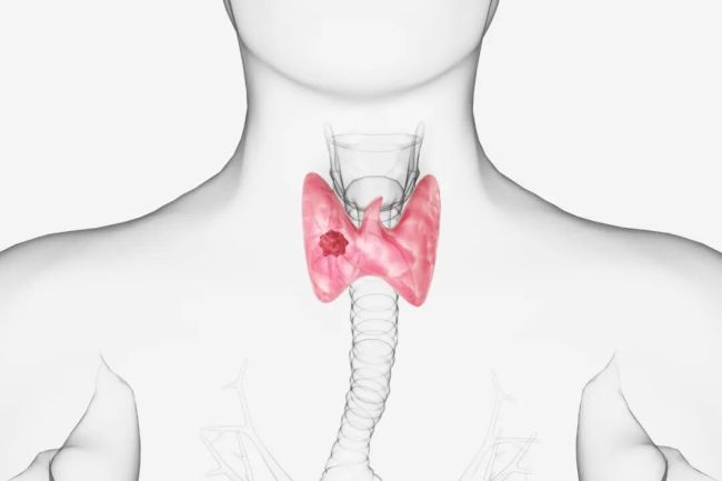 有些疾病根本不用治,只是年纪大了而已,别被骗钱
